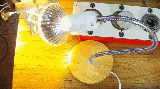 電燈泡內通有交流電，為什么看不到燈泡在閃爍？